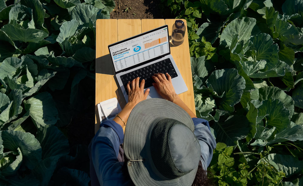 Osoba w kapeluszu pracuje na laptopie przy drewnianym stole, otoczona roślinami kapusty. Na ekranie laptopa widoczny jest wykres z napisem \'Agriculture Development\'.