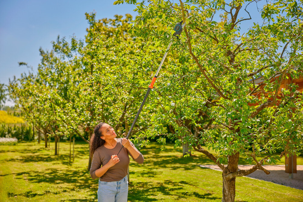 Sekator teleskopowy GARDENA StarCut Pro S 12080-20 ogród niebo drzewa osoba tnie gałęzie w koronach drzew można łatwo regulować do 160 cm całkowity zasięg około 3,5 m bezpiecznie sięgniesz do wyższych gałęzi
