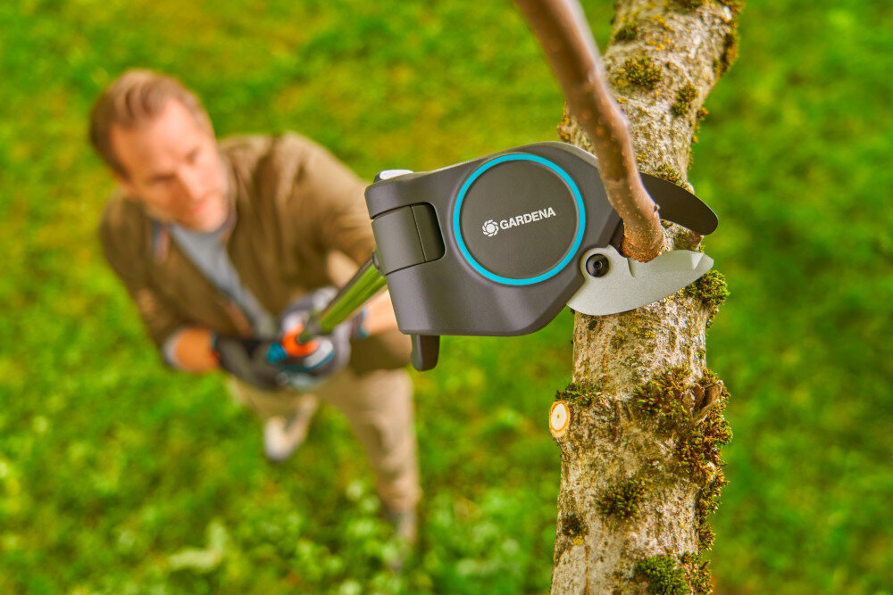 Sekator teleskopowy GARDENA StarCut Pro S 12080-20 ogród drzewa widok z góry osoba przecina gałąź w koronie drzewa trawnik przekładnia z metalowymi kołami zębatymi 12-krotne zwiększenie siły cięcia radzi sobie z grubszymi gałęziami