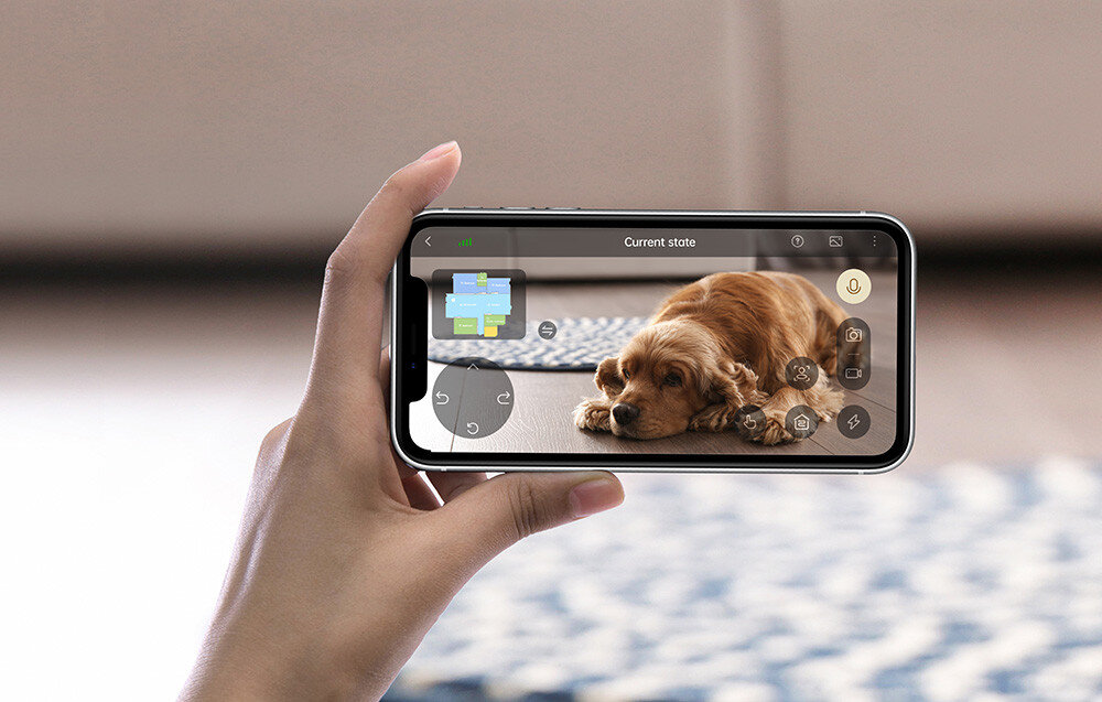 Osoba trzyma smartfon, na ekranie którego widać obraz psa leżącego na dywanie oraz interfejs aplikacji z napisem \'Current state\'.