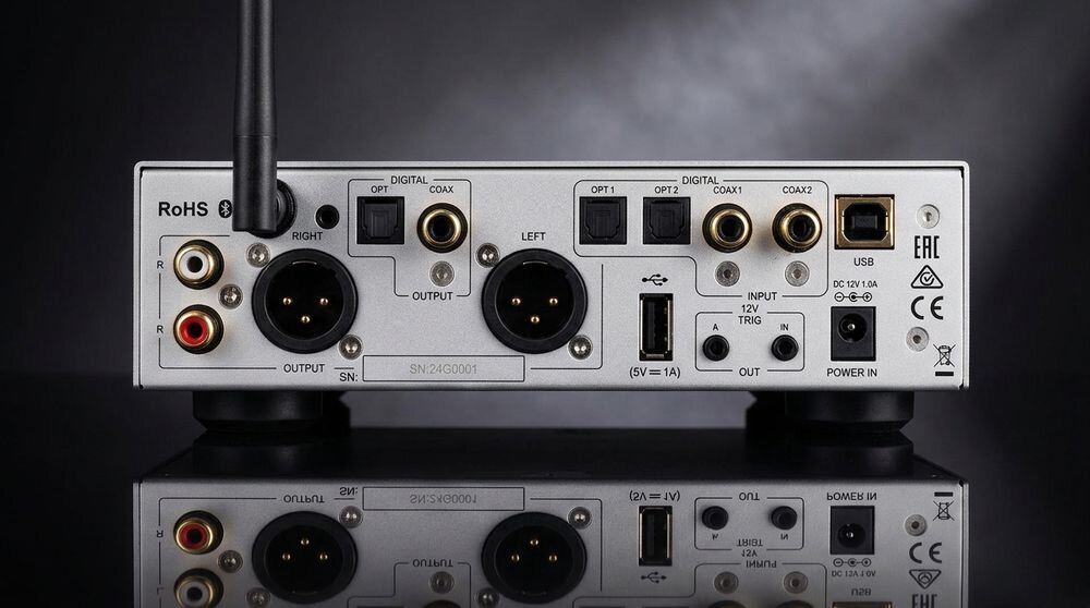Tył przetwornika C/A z różnymi złączami, w tym RCA, XLR, USB, optycznymi i koaksjalnymi. Widoczne są oznaczenia takie jak RoHS, EAC oraz symbole certyfikacyjne.