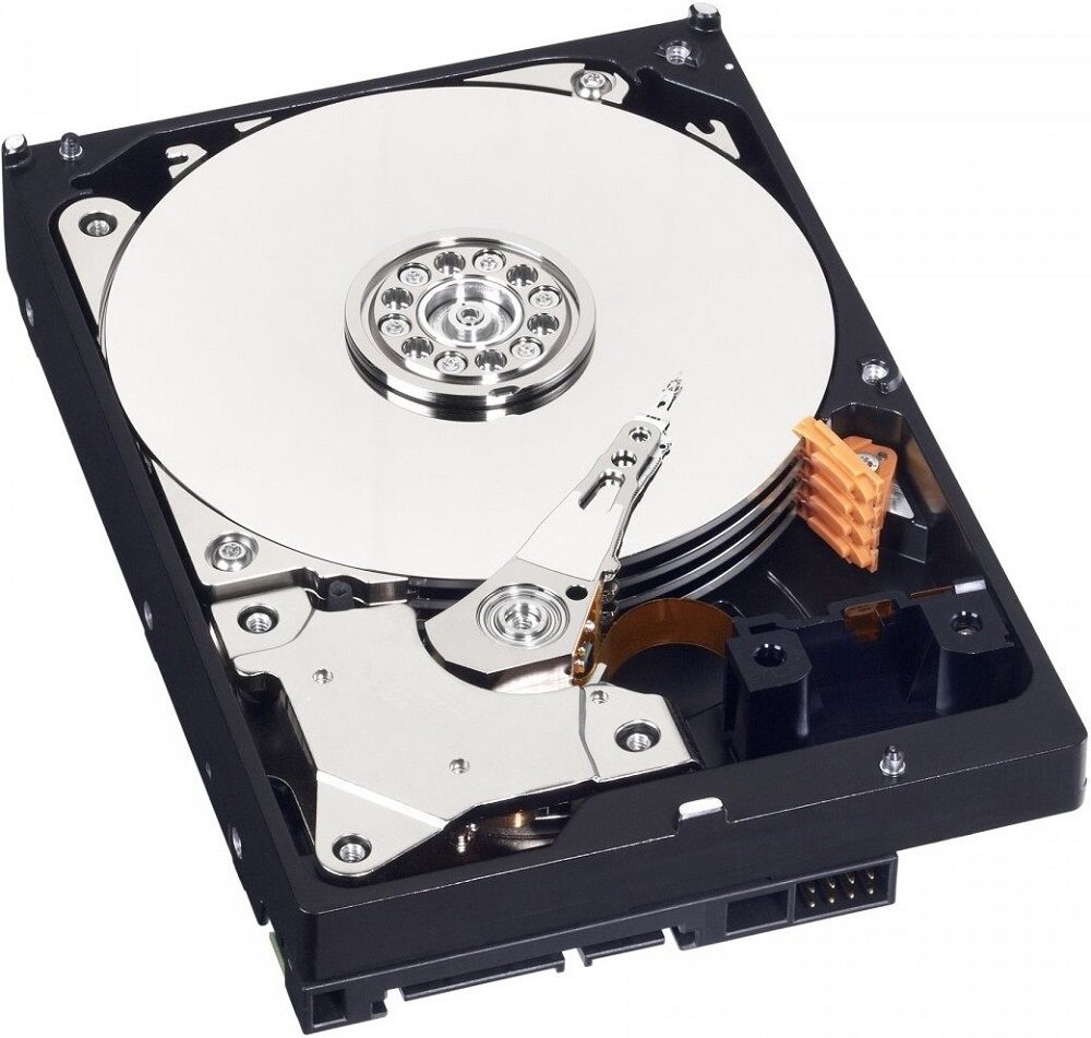 Dysk WD Blue 1TB HDD - dynamiczna pamiec