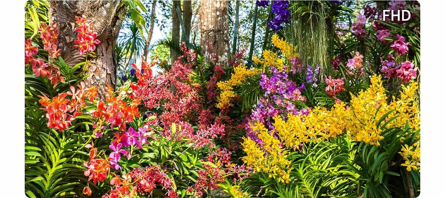 Full HD w telewizorze Samsung Full HD TV F6002F (2025) dostępnym w sklepach MediaExpert