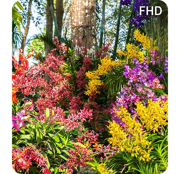 Full HD w telewizorze Samsung Full HD TV F6002F (2025) dostępnym w sklepach MediaExpert