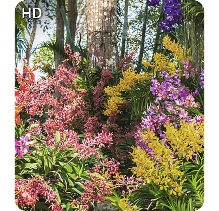 Full HD w telewizorze Samsung Full HD TV F6002F (2025) dostępnym w sklepach MediaExpert