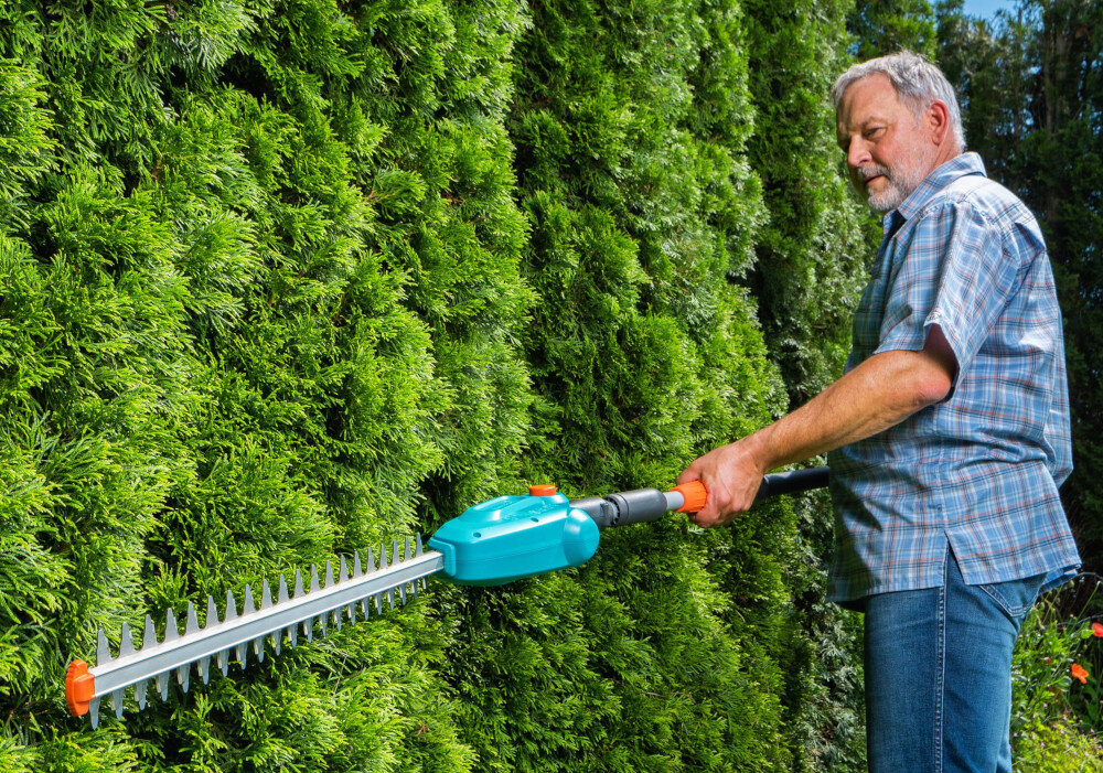 Osoba przycina żywopłot za pomocą akumulatorowych nożyc do żywopłotu. Nożyce mają niebieską obudowę i długie ostrze.