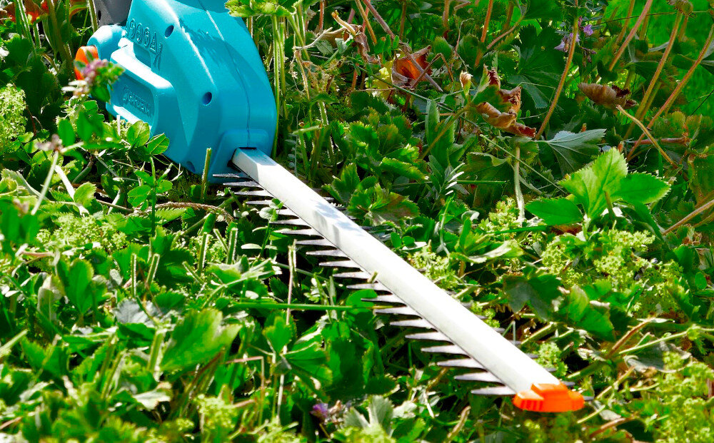 Na obrazie widoczne są nożyce do żywopłotu z niebieską obudową i srebrnym ostrzem, leżące na zielonej trawie. W tle widać roślinność.