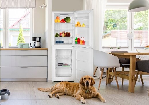Otwarta lodówka MPM-230-FF-53 w kuchni wypełniona jedzeniem. Przed nim leży pies.