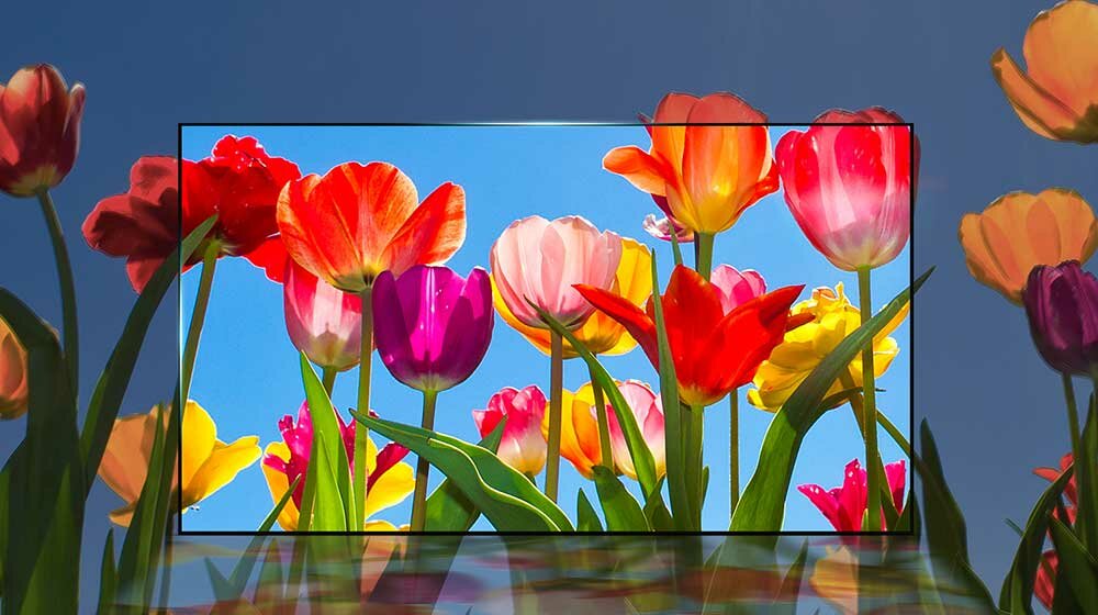 Telewizor LG UJ6307  - kolory