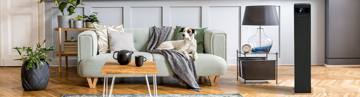 W salonie znajduje się szara sofa z poduszkami i kocem, na której siedzi pies. Obok stoi czarno-brązowy głośnik, a w tle widać lampę i stolik z dekoracjami.