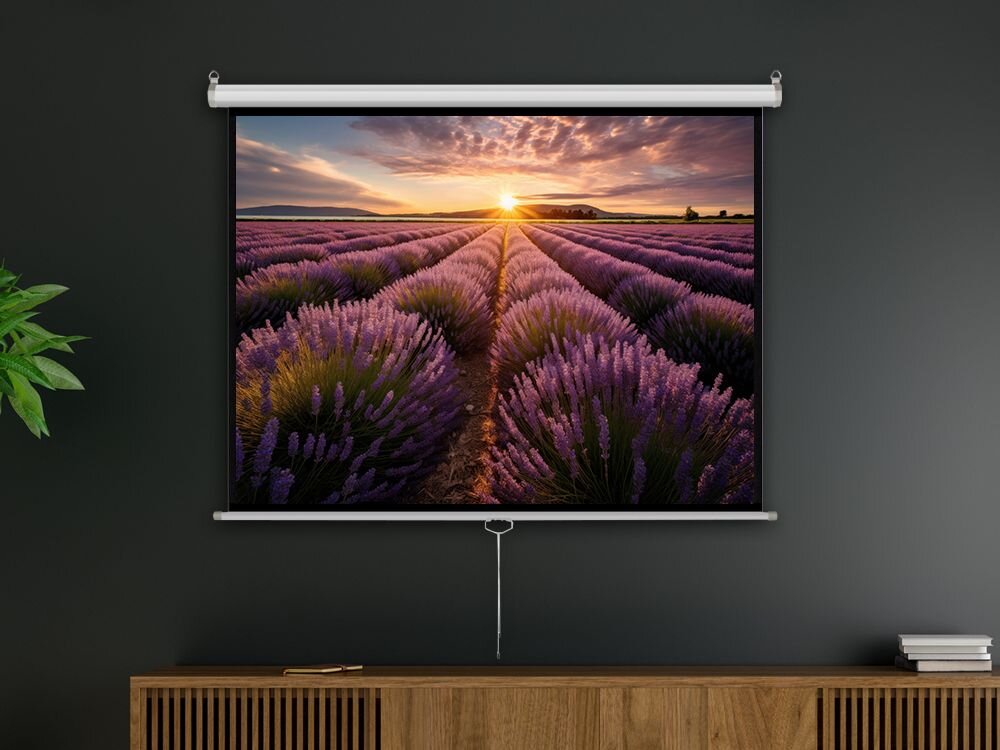 Ekran projekcyjny ART MS-96 244x244 kąt widzenia 160 stopni stalowa obudowa montaż ścienny sufitowy, projektor wiszący w pomieszczeniu