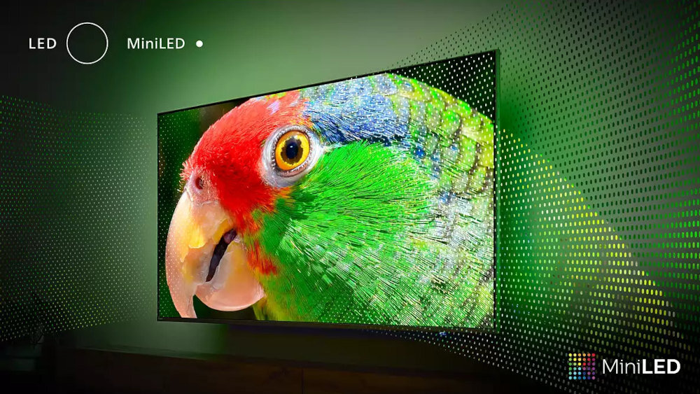 Telewizor wyświetla obraz papugi o intensywnych kolorach, z zielonymi piórami i czerwonym dziobem. W rogu ekranu widoczny jest napis \'MiniLED\'.