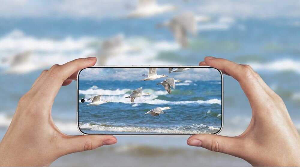 Osoba trzyma smartfon, na ekranie którego widać lecące mewy nad morzem. W tle rozmyty widok morza i ptaków.