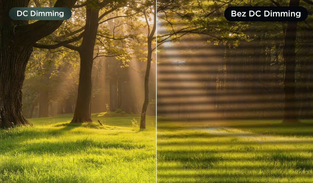 Monitor TCL 27P2A Pro Porównanie obrazu z DC Dimming i bez DC Dimming — leśna scena bez migotania kontra z paskami