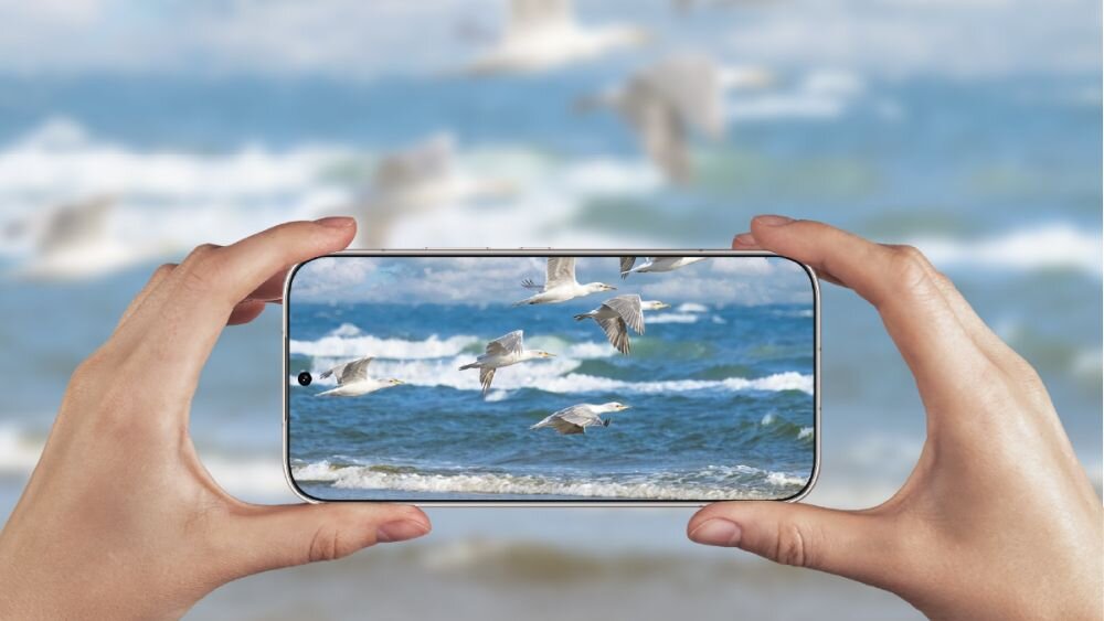 Osoba trzyma smartfon, na ekranie którego widać zdjęcie mew nad morzem. W tle rozmyty widok na morze i mewy.