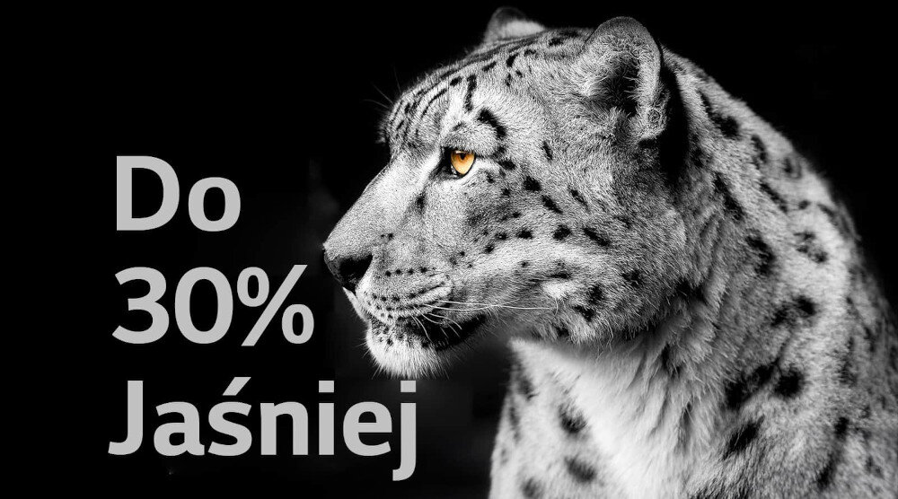 Obraz przedstawia czarno-białe zdjęcie lamparta śnieżnego z żółtymi oczami. Obok widnieje tekst: \'Do 30% Jaśniej\'.