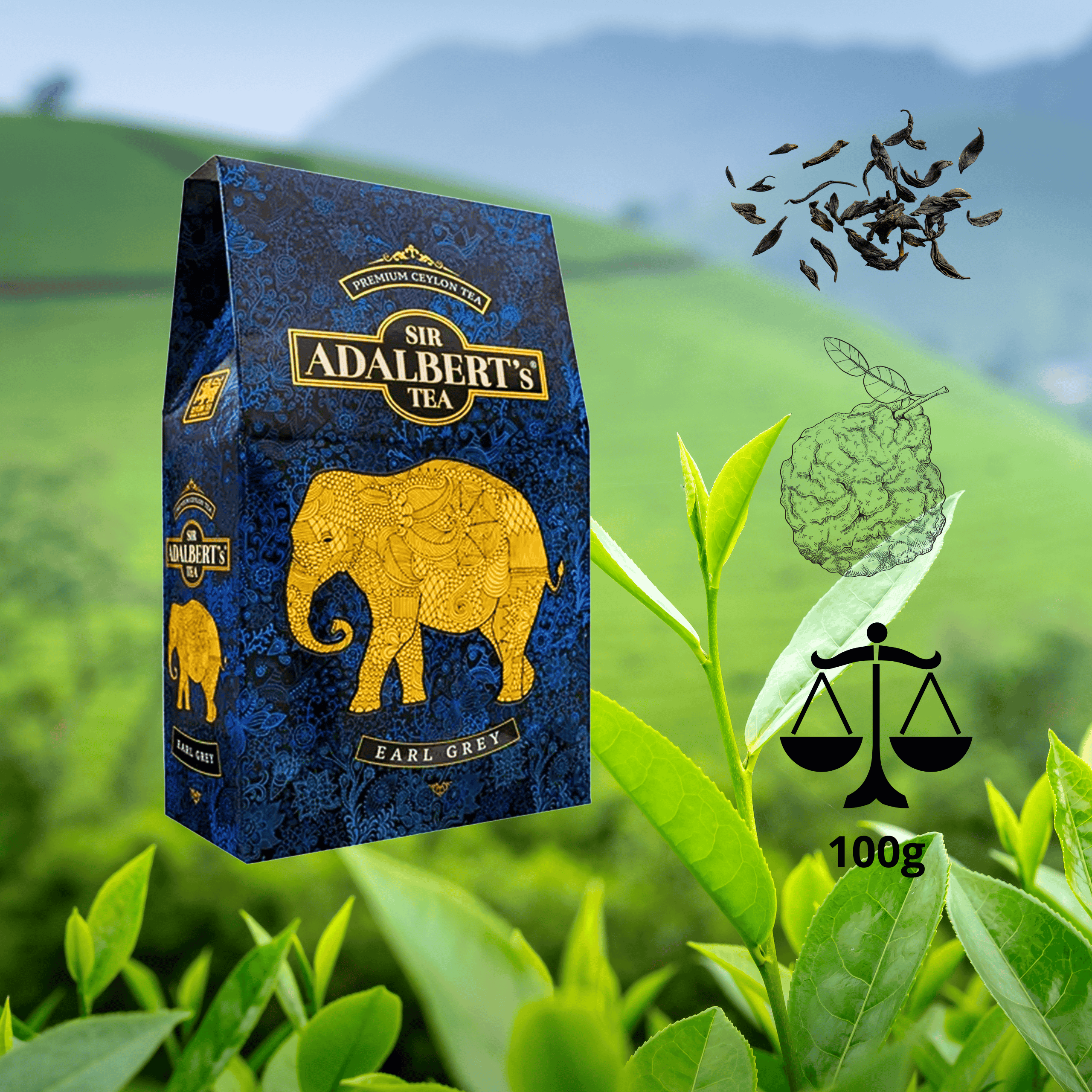Opakowanie herbaty z napisem \'Sir Adalbert’s Tea Earl Grey\' z wizerunkiem złotego słonia na tle zielonych liści herbaty. Widoczne są również liście herbaty, rysunek bergamotki i symbol wagi z napisem \'100g\'.