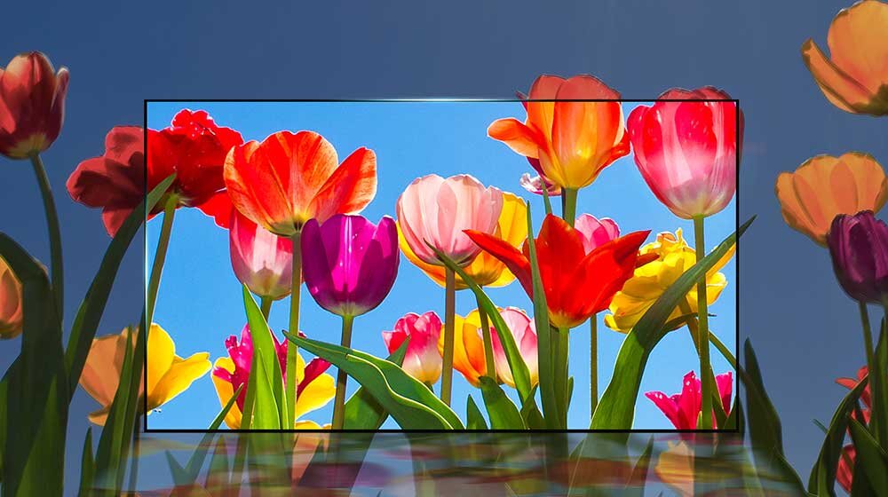 Telewizor LG UJ7507  - kolory