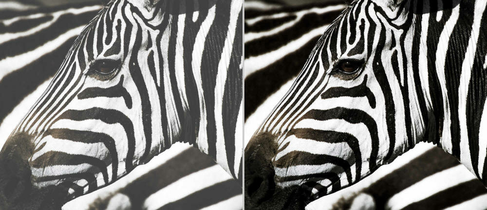 OPTOMA-W461 projektor kontrast obraz biel czerń