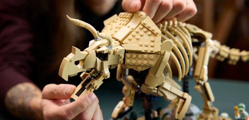 Людина збирає модель скелета трицератопса з цеглинок LEGO. Модель деталізована та яскраво забарвлена.