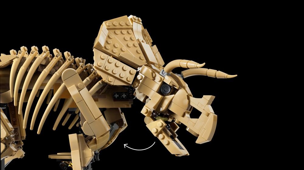 Ця модель скелета трицератопса від LEGO бежевого кольору на чорному фоні. Вона має детально продуману голову та лобову частину, включаючи роги та ребра.