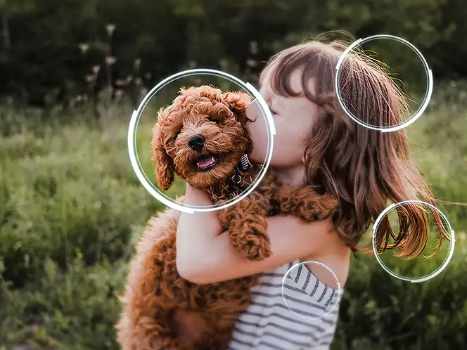 Dziecko trzyma na rękach małego, brązowego psa na tle zielonego pola. Na obrazie widoczne są białe okręgi wokół dziecka i psa.