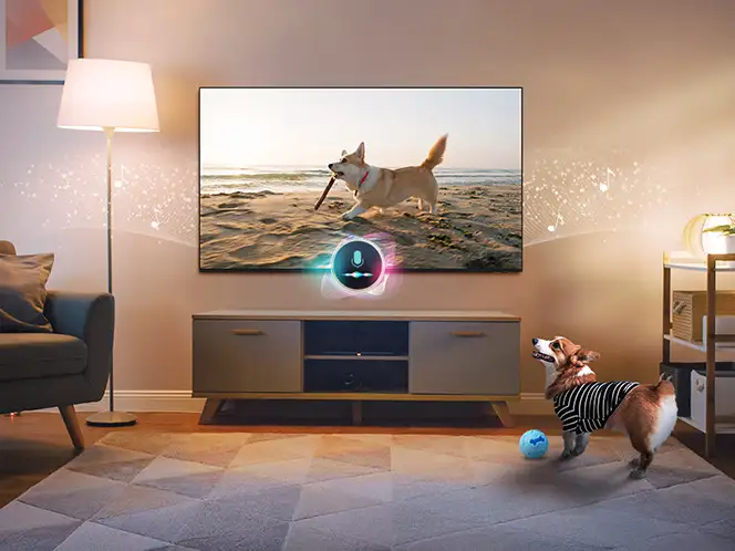 W salonie znajduje się telewizor wyświetlający obraz psa biegnącego po plaży. Obok telewizora stoi lampa, a na podłodze bawi się pies w pasiastym ubranku z piłką.