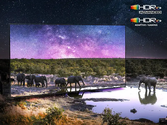 Obraz przedstawia telewizor wyświetlający scenę z grupą słoni przy wodopoju na tle gwiaździstego nieba. W prawym górnym rogu widoczne są logotypy \'HDR10+ ADVANCED\' i \'HDR10+ ADAPTIVE/GAMING\'.
