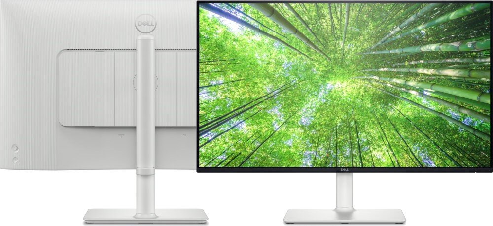 Monitor z cienkimi ramkami wyświetla obraz przedstawiający zielony las bambusowy. Z tyłu widoczne jest logo DELL na podstawie monitora.