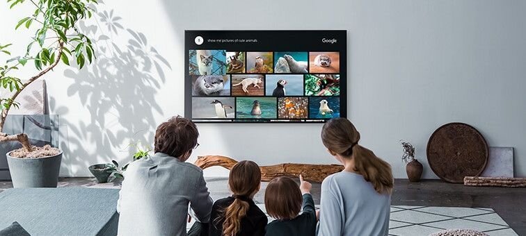 Telewizor SONY LED KD-XE7096 - smart tv