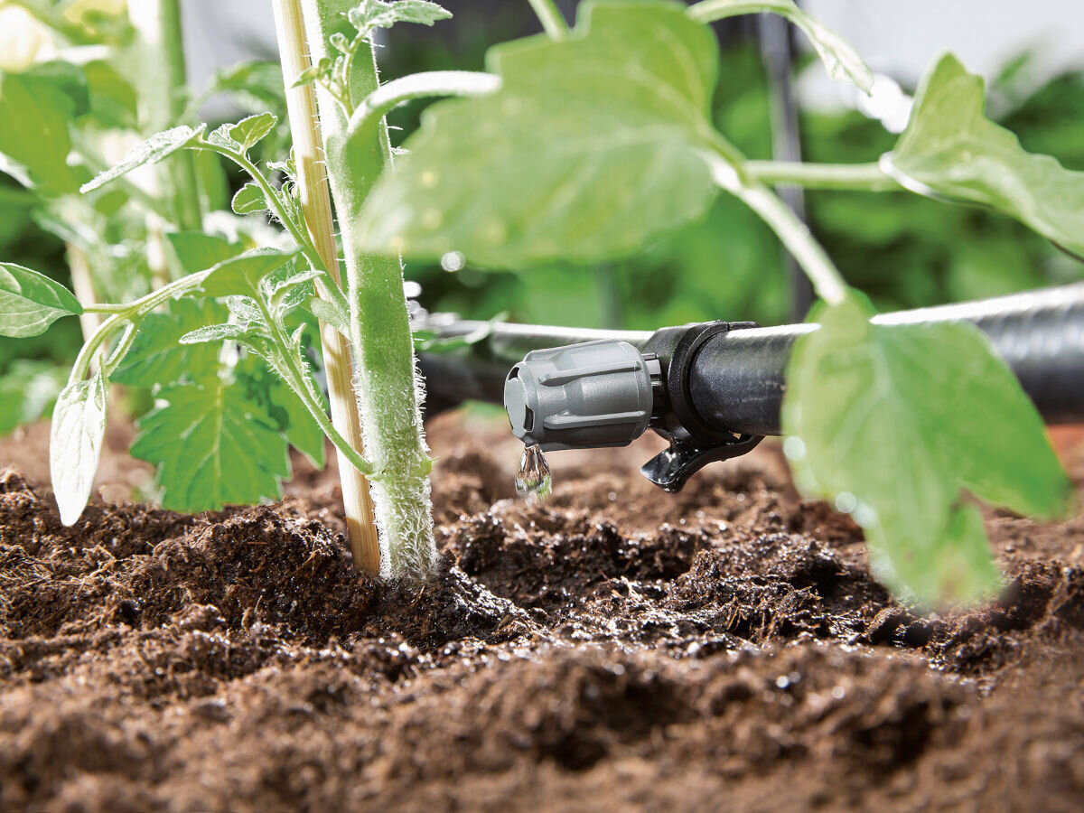 Zestaw do nawadniania KARCHER Rain System 2.645-238.0, bezpośrednio, rozlewaniem, obszary, zasobów, wąż z zestawu nawadniania podlewa grządkę roślin