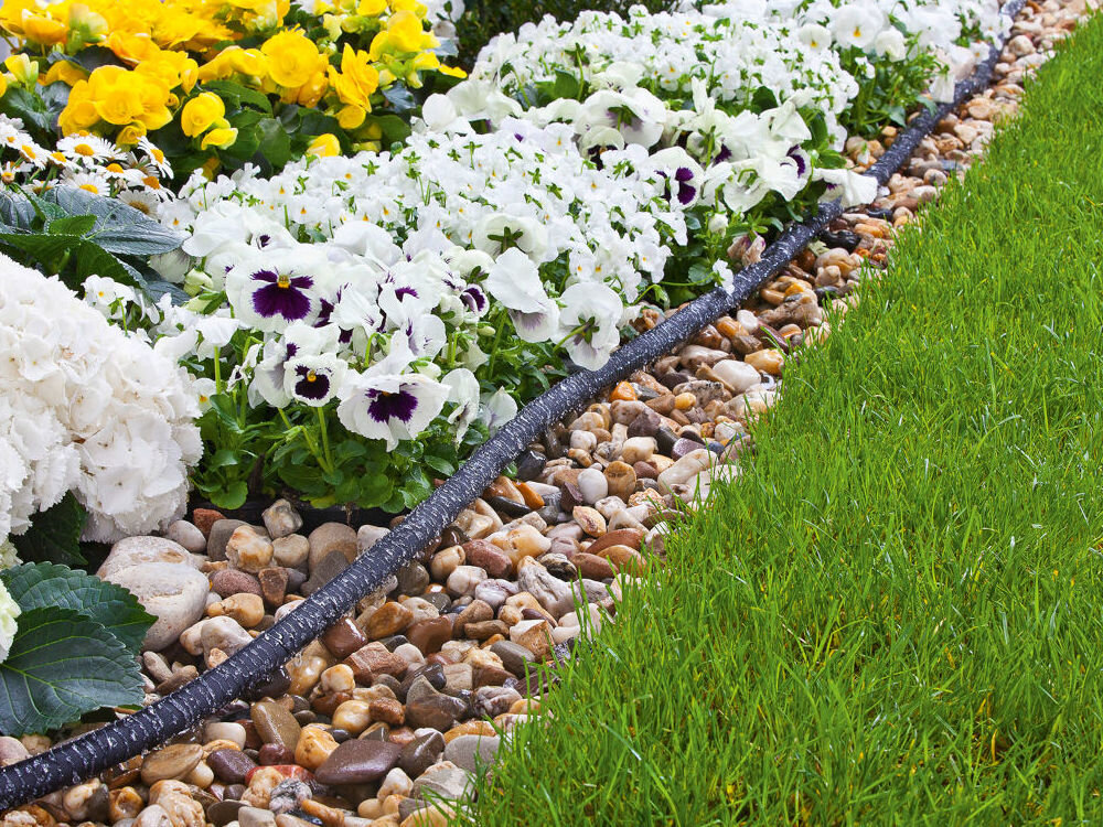 Zestaw do nawadniania KARCHER Rain System 2.645-238.0, system, podlewanie, ułożenie, indywidualne, w tle rabata z kwiatów, obok nich ułożony wąż z zestawu do nawadniania