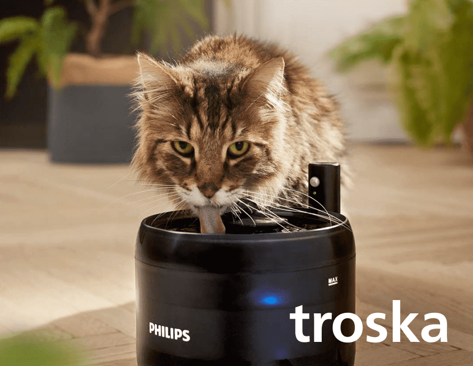 Kot pije wodę z czarnej fontanny oznaczonej logo PHILIPS. Na obrazie widoczny jest również napis \'troska\'.