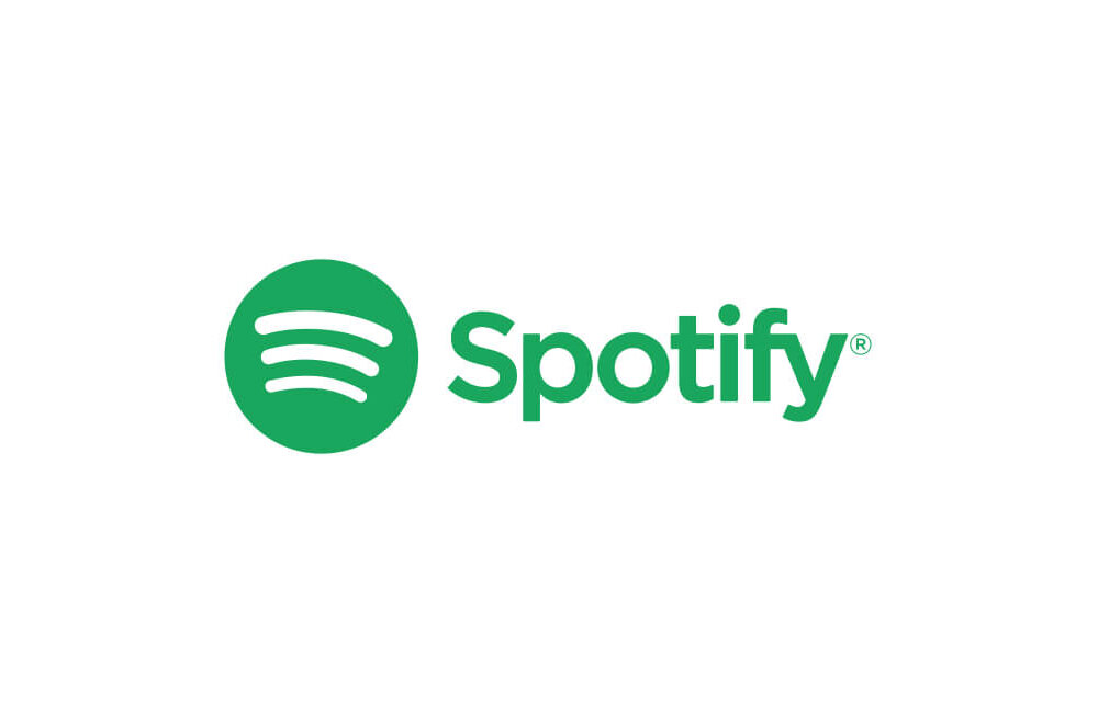 TECHNISAT DIGITRADIO 600 BIALY spotify premium