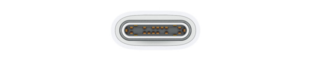 Zbliżenie na złącze USB-C z widocznymi złotymi stykami wewnątrz metalowej obudowy.