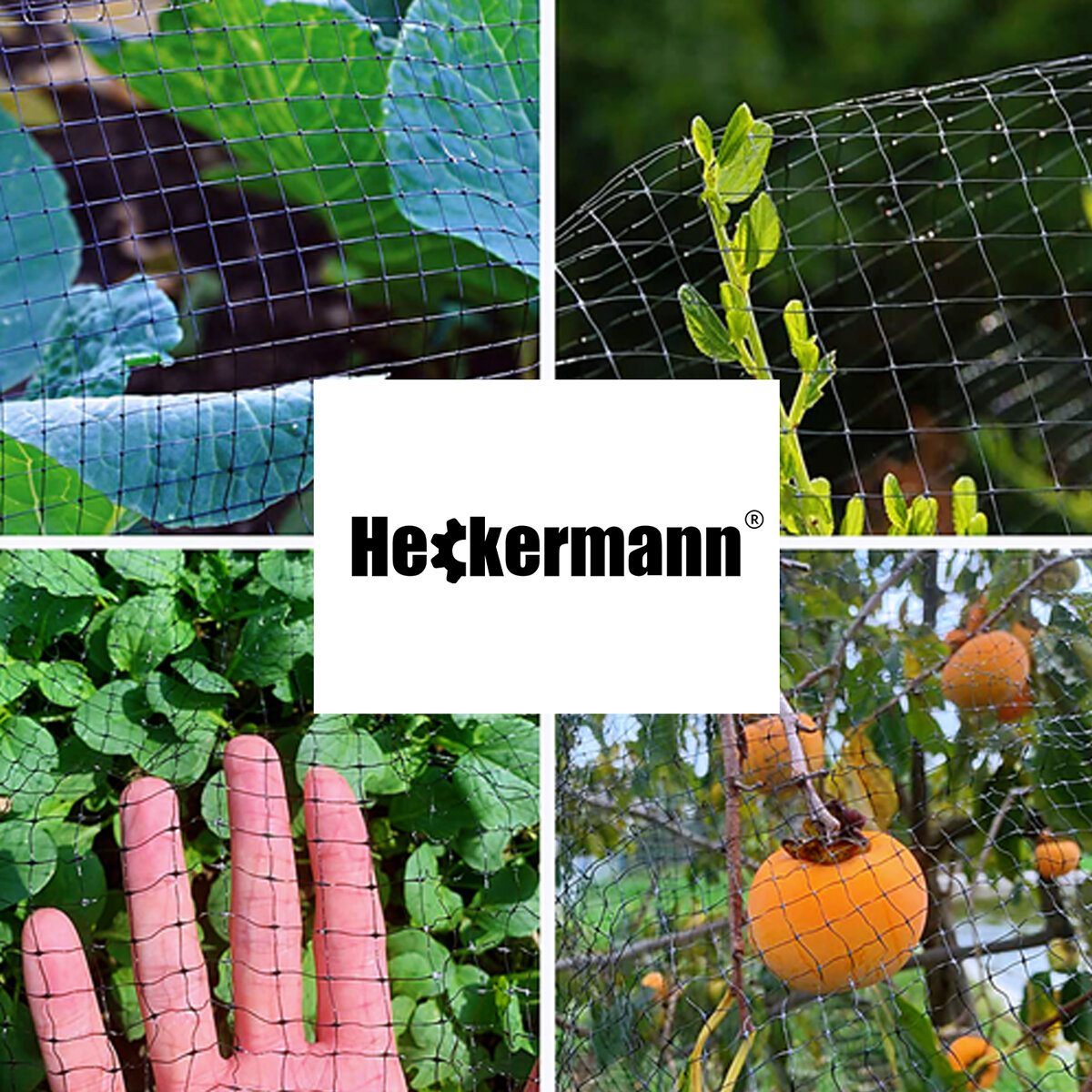 Zdjęcie przedstawia siatkę na krety Heckermann 1,5x10m 30g/m2, z widocznymi roślinami i owocami w tle oraz logo Heckermann na środku.