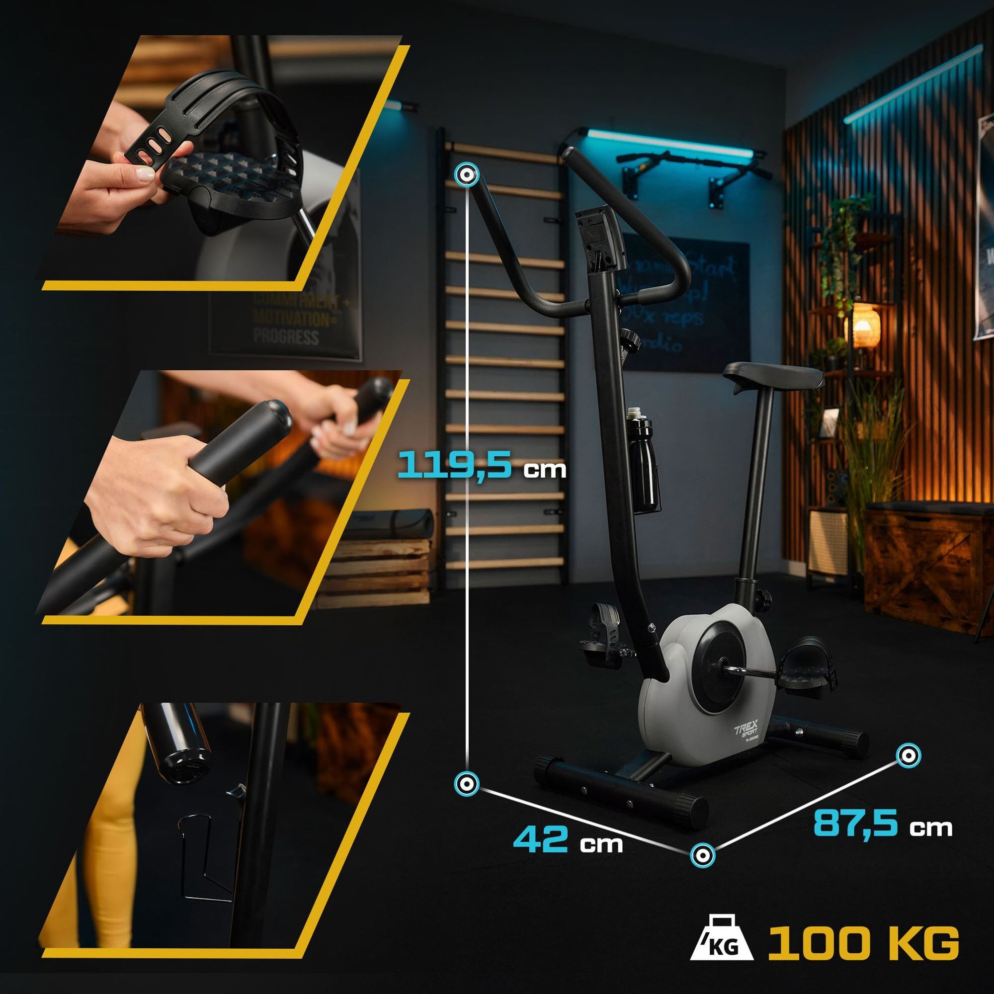 Obraz przedstawia szary rower stacjonarny mechaniczny w pomieszczeniu z drewnianymi elementami dekoracyjnymi. Widoczne są wymiary: 119,5 cm wysokości, 42 cm szerokości i 87,5 cm długości oraz maksymalne obciążenie 100 kg.