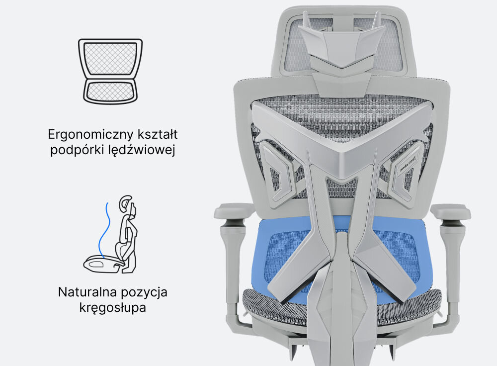 Obraz przedstawia tył fotela z siatkowym oparciem i ergonomiczną konstrukcją. Obok znajdują się ilustracje z tekstem: \'Ergonomiczny kształt podpórki lędźwiowej\' oraz \'Naturalna pozycja kręgosłupa\'.