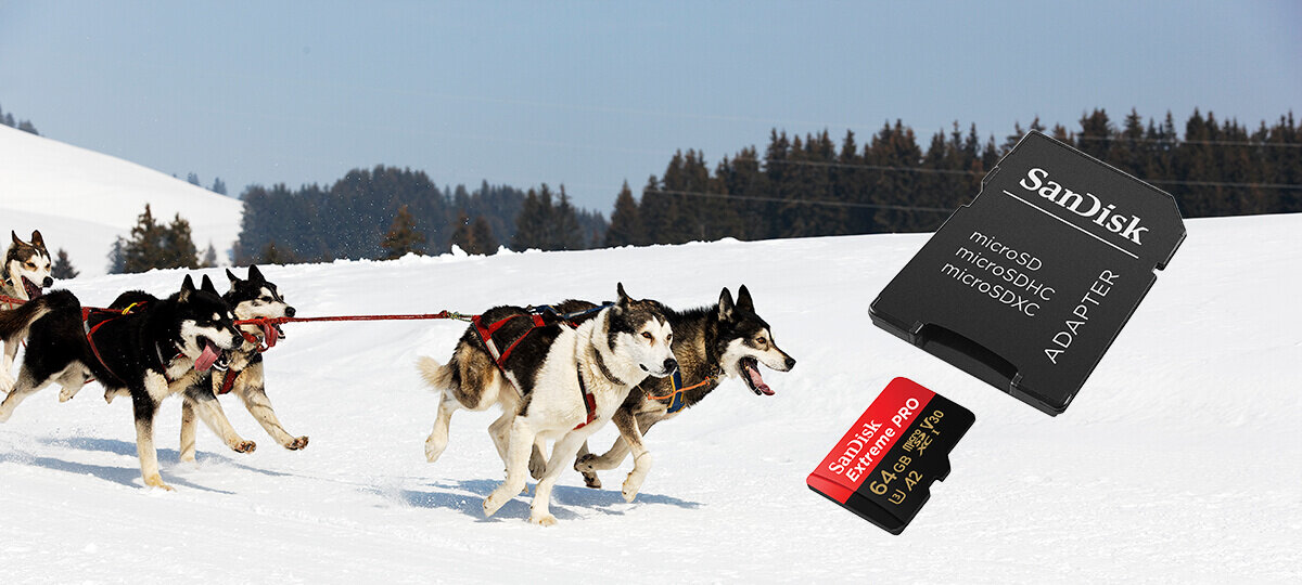 Na śnieżnym tle widoczny jest zaprzęg psów oraz karta pamięci SanDisk Extreme PRO microSDXC 64GB z adapterem. Na karcie widnieje napis: \'SanDisk Extreme PRO 64GB A2 V30\'.
