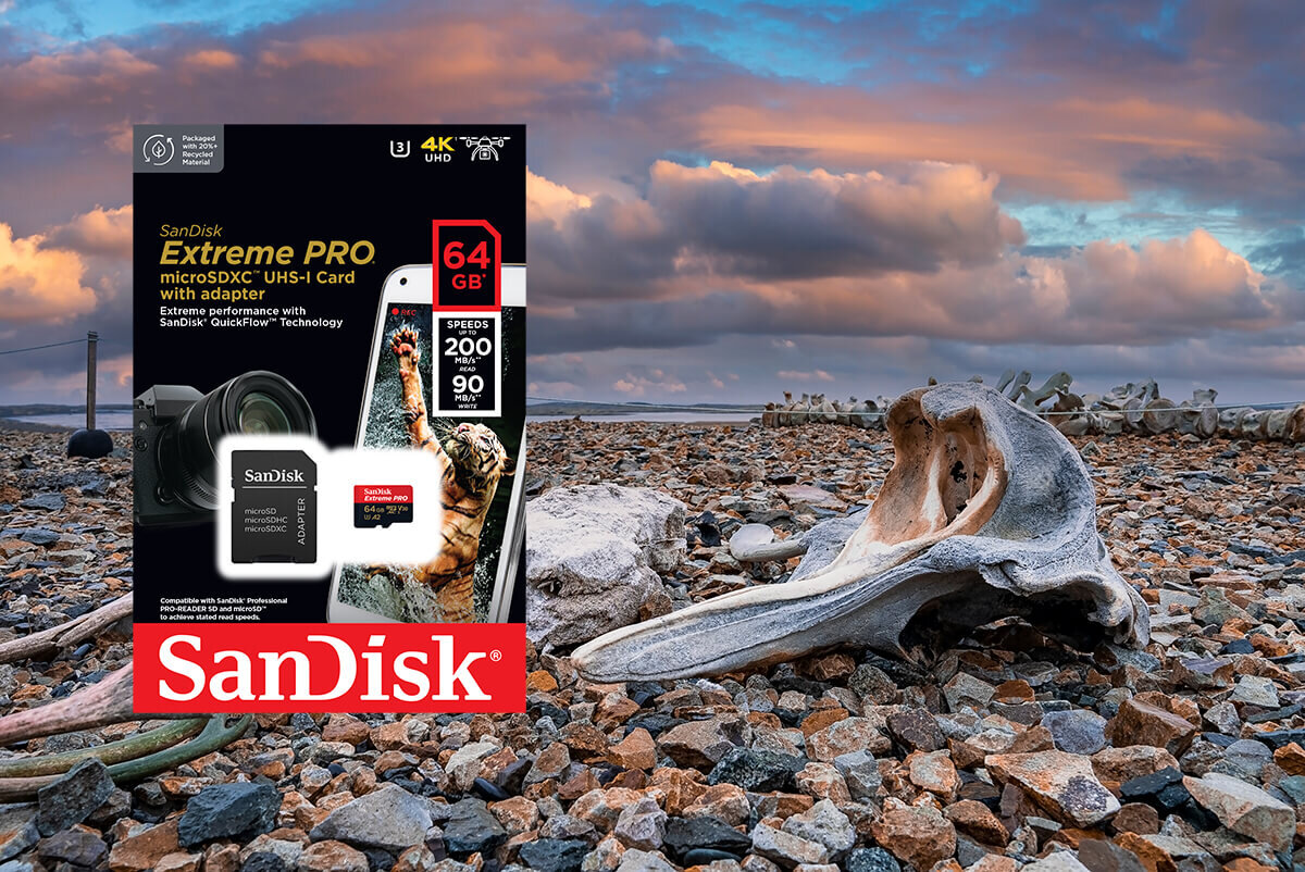 Opakowanie karty pamięci SanDisk Extreme PRO microSDXC 64GB z adapterem, z informacjami o prędkości 200 MB/s i 90 MB/s. W tle widoczny jest krajobraz z kamienistym podłożem i dużą kością na ziemi.