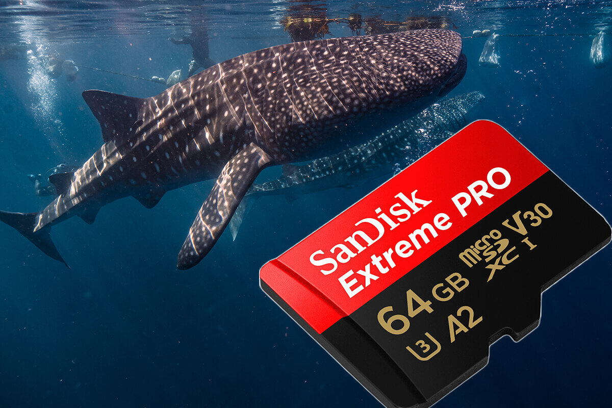 Na obrazie widać kartę pamięci z napisem \'SanDisk Extreme PRO 64GB microSDXC V30 A2\'. W tle znajduje się rekin pływający w wodzie.