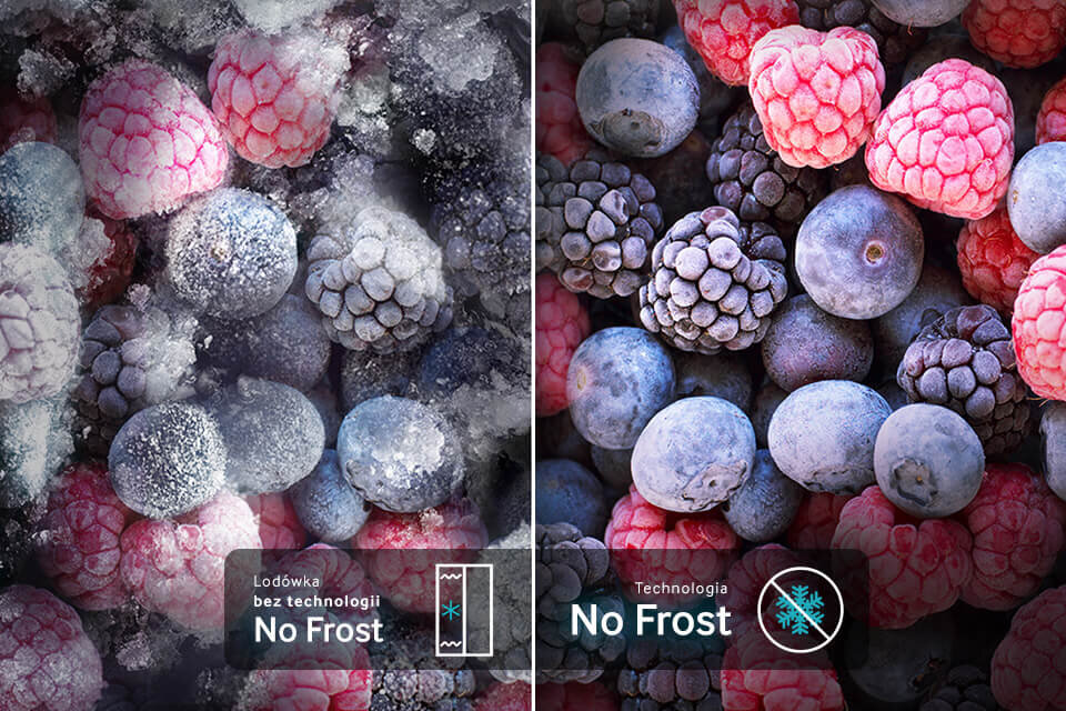 model bezszronowy Obraz przedstawia porównanie owoców zamrożonych w lodówce bez technologii No Frost i z technologią No Frost. Po lewej stronie owoce są pokryte szronem, a po prawej stronie są wolne od szronu i wyglądają świeżo.