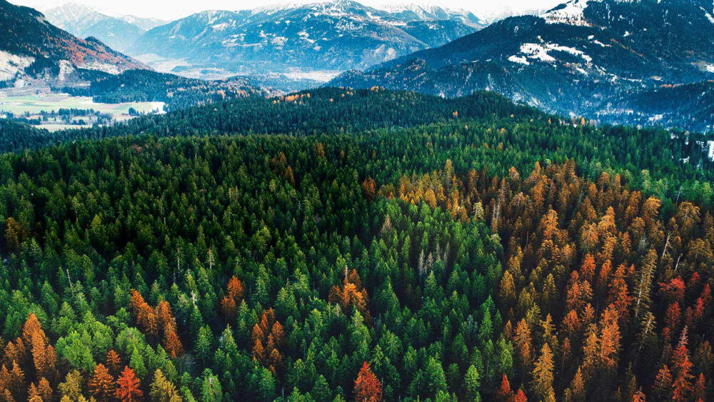 Telewizor LG LK5900  - procesor