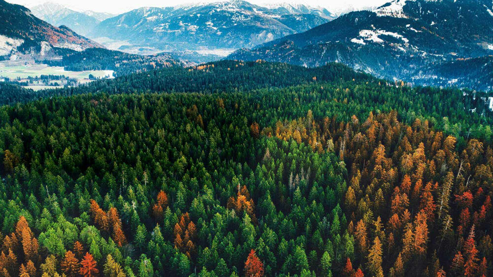 Telewizor LG LED UK6400  - procesor