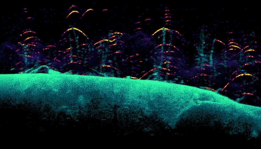 LOWRANCE Eagle 9 TripleShot HD DownScan Imaging skały drzewa struktury podwodne, kadr z urządzenia
