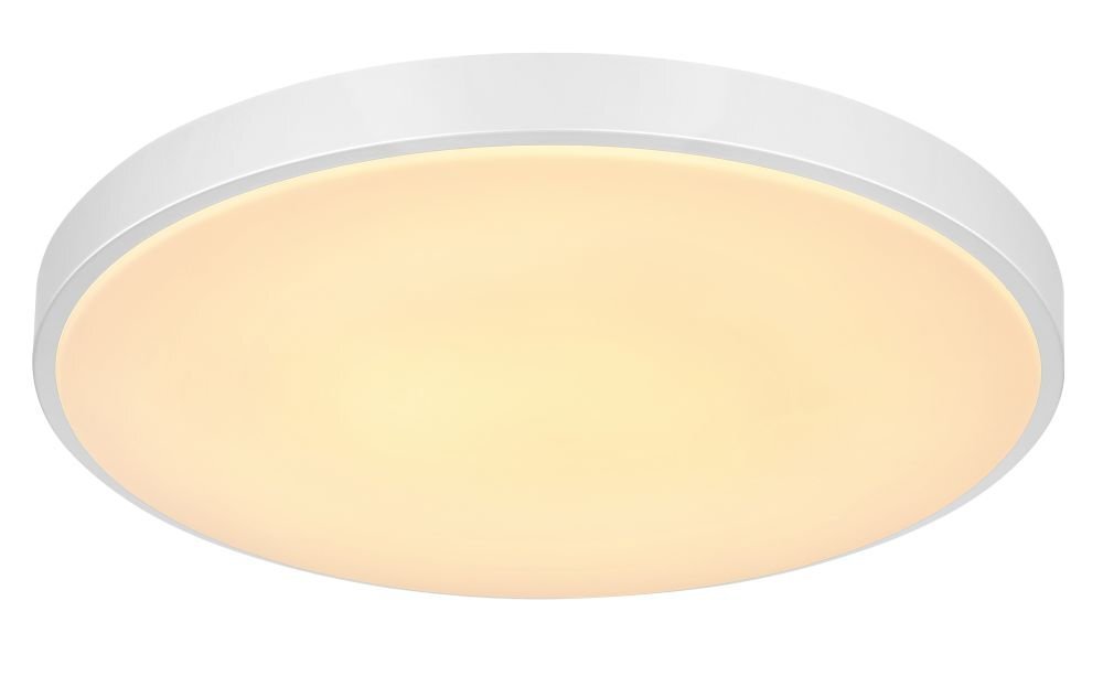 Okrągły plafon LED w kolorze srebrnym z jasnym, mlecznym kloszem. Produkt ma prosty, nowoczesny design.