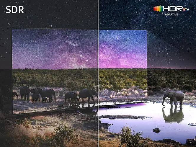 Obraz przedstawia porównanie jakości obrazu na ekranie telewizora z technologią SDR i HDR10+ Adaptive. Po lewej stronie widoczny jest ciemniejszy obraz z mniejszą ilością detali, a po prawej jaśniejszy i bardziej szczegółowy obraz z widocznymi słoniami przy wodopoju.