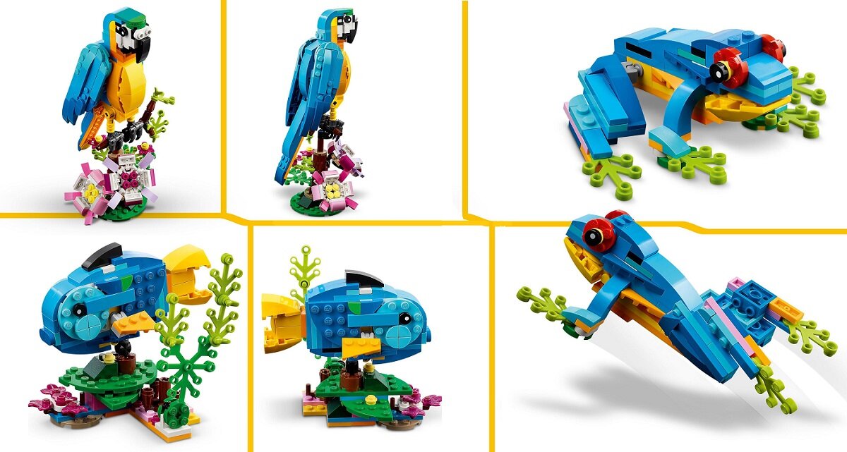 Na obrazie widoczne są trzy różne modele z klocków LEGO przedstawiające egzotyczną papugę, rybę i żabę. Każdy model jest kolorowy i umieszczony na podstawce z elementami roślinnymi.
