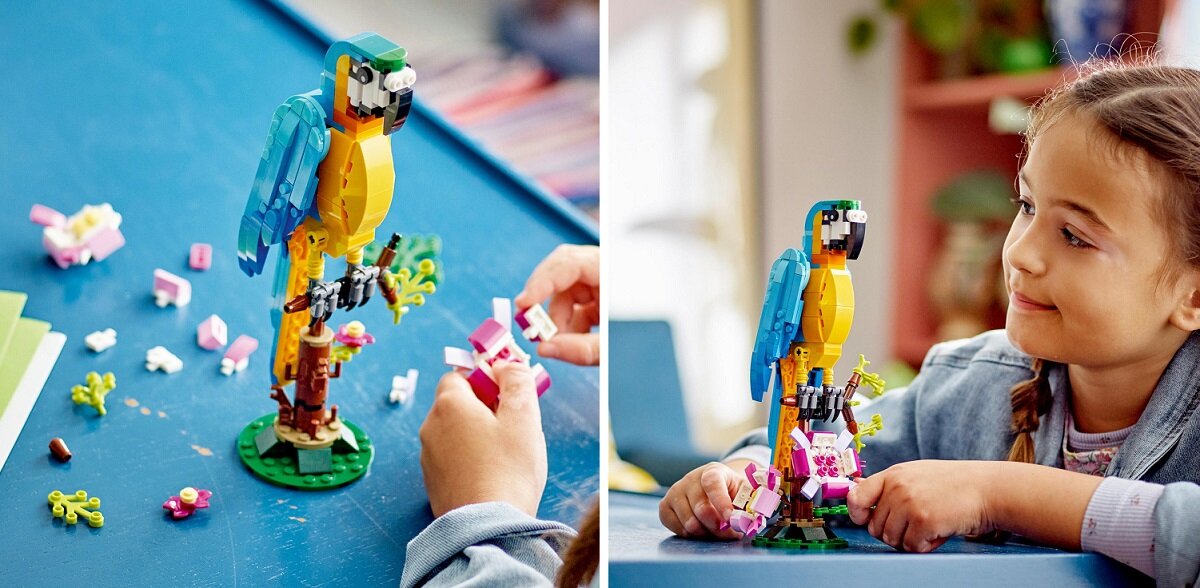 Na stole znajduje się złożony model egzotycznej papugi z klocków LEGO, obok którego leżą różnokolorowe elementy. Obok modelu widoczna jest osoba, która przygląda się papudze.