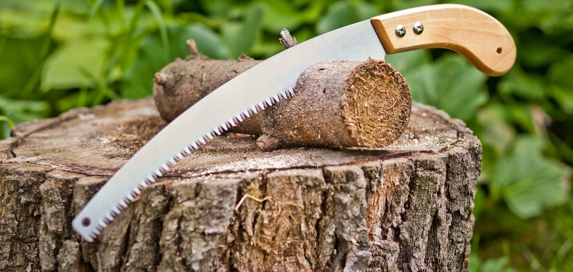Na pniu drzewa leży ręczna piła do gałęzi z drewnianą rączką i metalowym ostrzem z ząbkami. W tle widoczne są zielone liście.